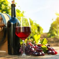 Krajem vína – Tour de burčák po vinařských stezkách Kyjovska